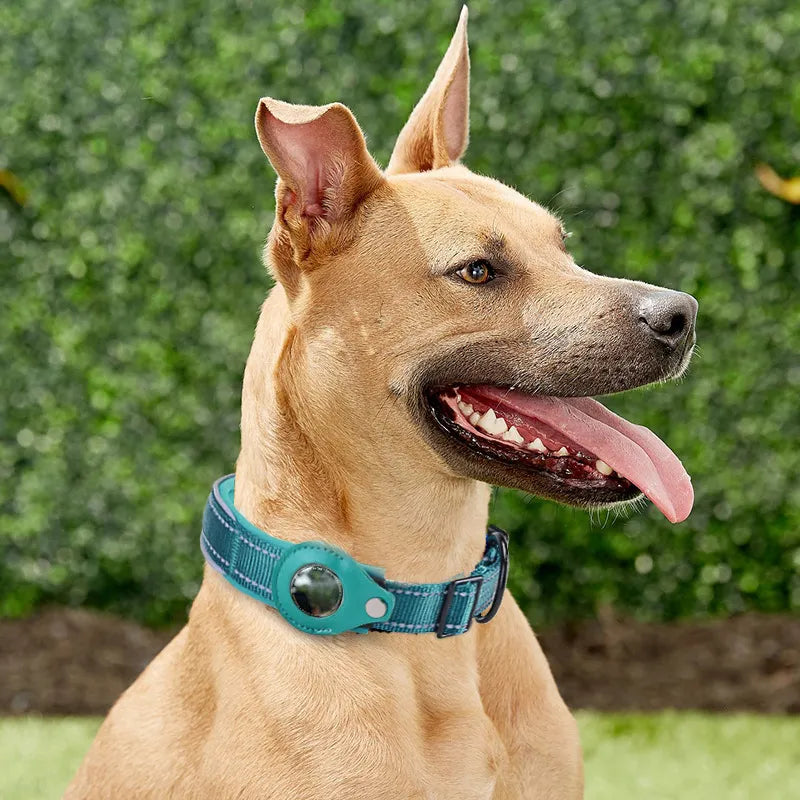 Canine Compass - AirTag Collar.
